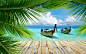 View through palm leaves for 2560 x 1600 widescreen resolution