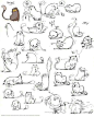 猫咪简笔画素材大全~ （转） ​​​​