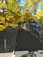 青岛理工大学市北校区