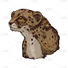 猫科动物,绘画插图,矢量,猎豹,野生动物,野生猫科动物,东非,美术肖像,绘制
