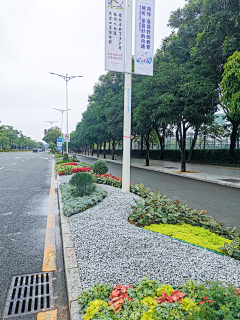 听风吹的声音采集到市政道路绿化