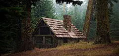 自然森林,大树,小屋,自然风景桌面壁纸