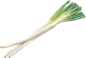 大葱Png _蔬菜/水果/花卉素材采下来 #率叶插件，让花瓣网更好用#