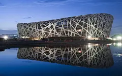 鸟巢图片桌面壁纸