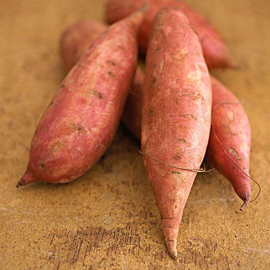 红薯