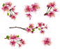 e34acdb4427c1b1422a4b902be72c6795a37a04e38bc3a-QidWVT