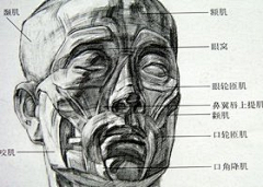天方夜谭ljj采集到人像素描