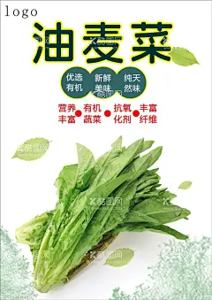 油麦菜海报  - 源文件下载【酷图网】油麦,新鲜油麦,绿色油麦,美味蔬菜,营养蔬菜,绿色蔬菜,油麦海报,油麦广告,油麦高炮,油麦装饰画,开洋娃娃菜,菜籽,儿儿菜,干锅,油麦挂画,油麦宣传,油麦画册,油麦灯箱,油麦杂志,油麦折页,油麦包装,油麦彩页,菜谱内页,菜牌,水果宣传,蔬菜展板,蔬菜超市,蔬菜市场,蔬菜广告,蔬菜,海鲜,超市,