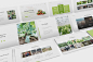 高端时尚清新简约绿色健康农业Google Slides谷歌幻灯片演示模板（pptx）-设汇