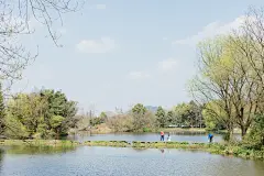 春日小聚

摄影：洪小漩

春日向暖，疫情防控形式也日渐向好，我总算是能和要好的朋友出去晒晒太阳补补钙了。

寻了一个周六，娟子、羽希和我各自出门，带上些许干粮、水果，奔着龙井路88号去，就当是一场春游一般雀跃。

龙井茶园间零星布着些日子过得极其滋润的人家。家家户户门前种了好些花，晾晒着一些待腌的雪里红。一切显得暖洋洋的，慢吞吞的。

许是食物吸引了那些猫，他们围着我们，或叫唤，或打量，或窥探，很是惹人。

傍晚，在茅家埠附近的弄堂里点了些菜堂食。菜单上大多都尚未提供，选择有限，吃得也不多。

阿科忙完
