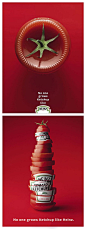 创意赏：亨氏番茄酱广告