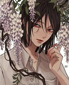 玫瑰到了花期采集到插画