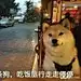 卡密666