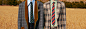 男士领带-男人领带价格-古驰男士领带-GUCCI中国官网