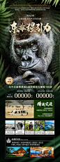 东非猩引力-乌干达旅游-维多利亚湖-金贾漂流-基巴莱国家公园-布温迪国家公园-银背大猩猩-本尼奥尼湖