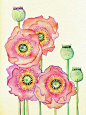 英国插画师Colleen Parker，唯美的花卉插画图片