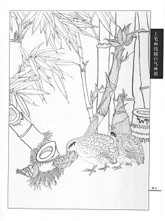 五金大队长采集到白描