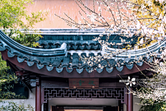 LUO枫风采集到写实小场景素材+建筑