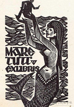 mwHmJ_~~采集到鸬鹚版画