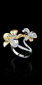 Master Exclusive Jewellery - Collection - Diamond flowers: 