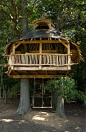 Treehouse with double swing below