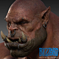 Garrosh Hellscream surfacing works - World of Warcraft Warlord of Draenor Cinematics, Wey Wong : This the surfacing works for Garrosh Hellscream in World of Warcraft Warlord of Draenor Cinematics
My works was texture painting and look development on this 