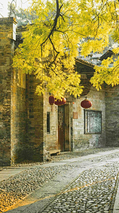 苏嫚采集到旧时光