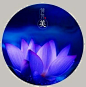 一花一世界，一叶一菩提。
