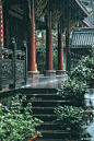 热门 - 热门微博 - 微博