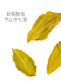 天福茗茶 温心铁观音茶叶 乌龙茶 特级安溪铁观音 2020年秋茶【图片 价格 品牌 报价】-京东