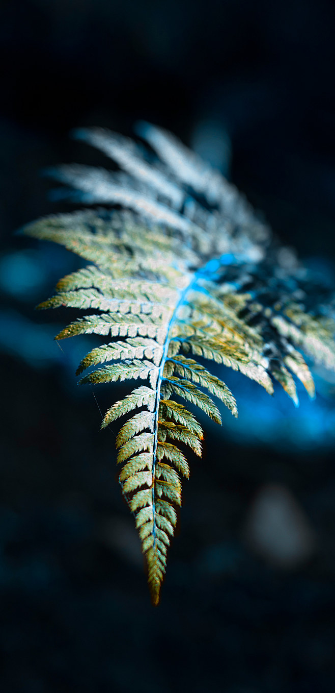 LOST MAGIC