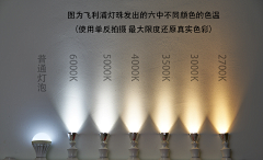 ℡淡然╮G采集到筒灯素材