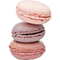 Holliewood_QueenCakes_Macaroon1.png