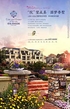 大太阳小生活采集到DM
