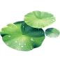 花瓣素材_植物通用清新插画绿色荷花荷叶元素素材_193465106