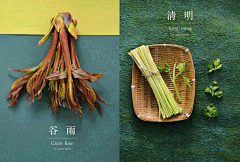 JERRY-qi采集到食品海报