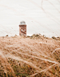 Lighthouse, field, architecture and history HD photo by Felix Mittermeier (@felixmittermeier) on Unsplash : Download this photo by Felix Mittermeier (@felixmittermeier)