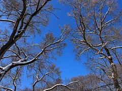墨藤子采集到场景