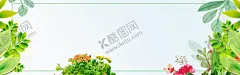 绿色植物背景图 【酷图网】植物背景,邀请函背景,婚礼邀请函,芭蕉叶,香蕉叶,棕榈叶,首页,banner,植物背景墙,绿色植物,背景墙,手绘植物,手绘,卡通,叶子,田园背景墙,森林,森林背景墙,花纹,热带雨林背景,花草,热带植物,热带雨林,植物,手绘背景,热带,热带雨林植物,植物手绘