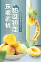 果蜜蜜 黄桃新鲜水果当季现摘桃子农家果园应季新鲜水果5斤包邮-tmall.com天猫