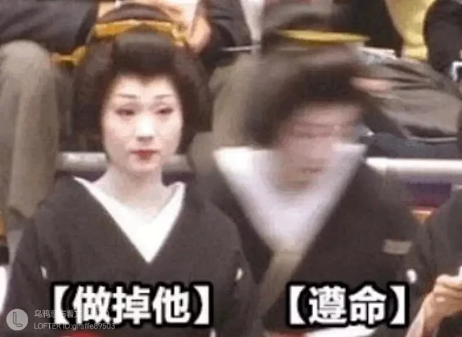 梗图-花瓣网
