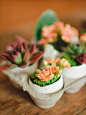 Le Robin’s Nest: DIY Eggshell Planters. A great idea for a project.