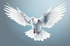 设计主题主题展翅飞翔的和平鸽插画