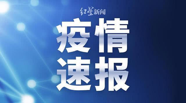权威发布 - Google 搜索 _公众...