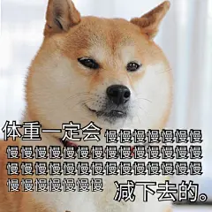 网上爆火的一组毒鸡汤，被我做成了表情包