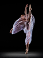 "Studio" (February, 2013) - Photo by Richard Calmes