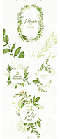 水彩手绘叶子植物超多叶子单支绿色春夏海报背景png平面设计素材-淘宝网