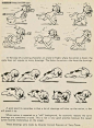 nat-falk-how-to-make-animated-cartoons-53