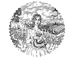 调味料品牌包装设计参考61-62-古田路9号-品牌创意/版权保护平台