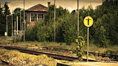 天空和花草的完美组合